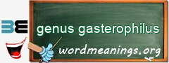 WordMeaning blackboard for genus gasterophilus